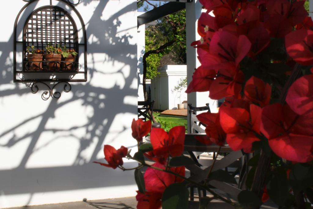 Lemon&Lime Guesthouse Bloemfontein Extérieur photo